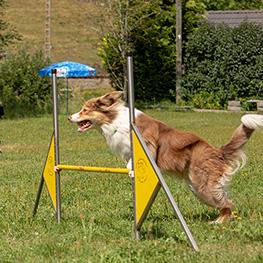 agility 550x550 1565444691