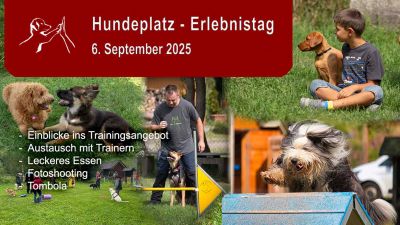 Hundeplatz-Erlebnistag